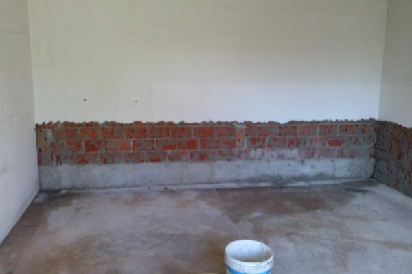 IMG-20241016-WA0013