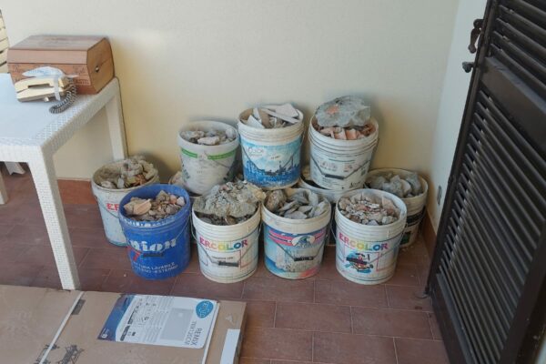 IMG-20241016-WA0223