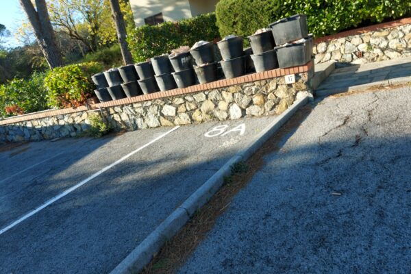 IMG-20241016-WA0228