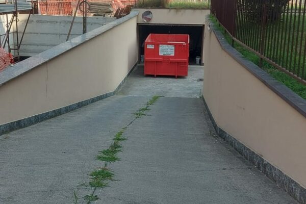 IMG-20241016-WA0265